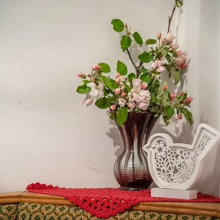 Delightful With Terrace 度假居